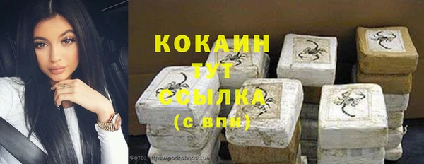 бошки Алексин