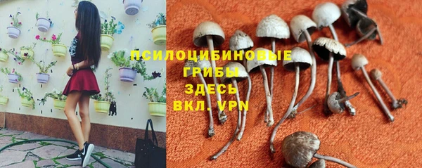 МДПВ Алзамай