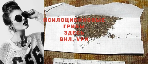 спиды Алексеевка