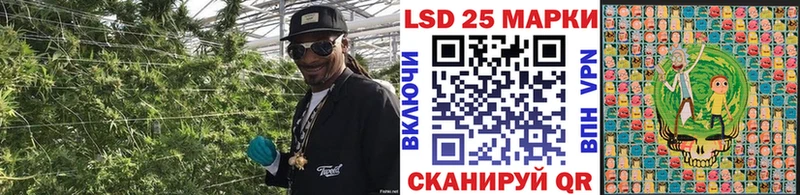 hydra вход Тосно Марки 25I-NBOMe 1,8мг где найти наркотики
