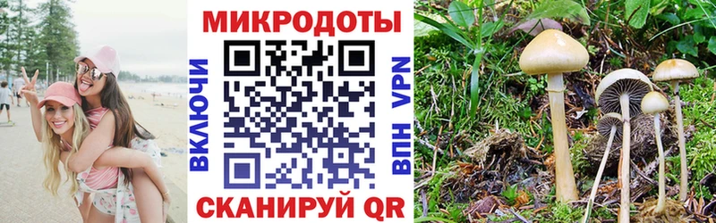 blacksprut ТОР  наркотики  Тосно  Галлюциногенные грибы прущие грибы 